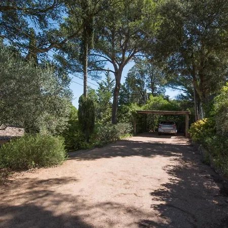Galatea * Begur